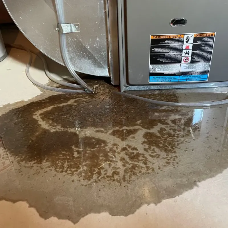 Pipe Burst and Leak Restoration in Animas, PR